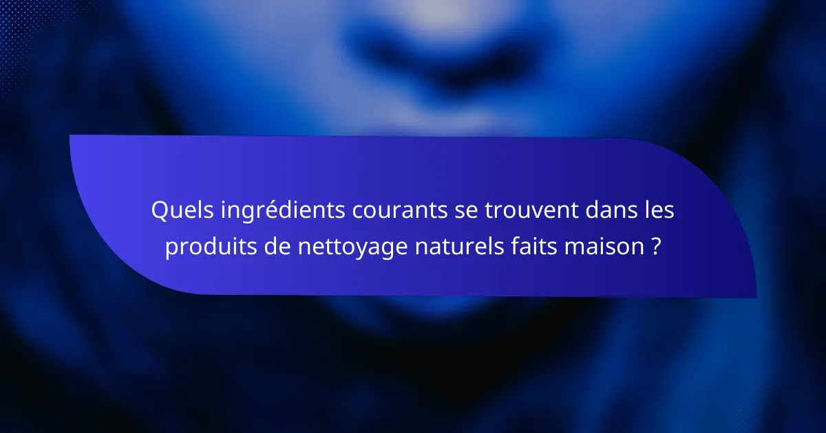 Quels ingrédients courants se trouvent dans les produits de nettoyage naturels faits maison ?